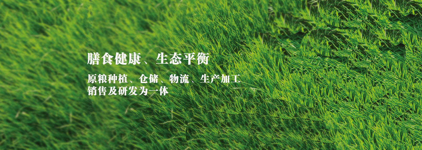 url(http://www.sulopurses.com/style/banner1.jpg)